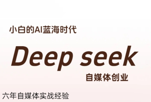 冰冰老师·普通人如何利用Deepseek创业