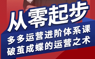 拼多多运营进阶系统课，从零起步，多多运营进阶体系课，破茧成蝶的运营之术(更新9月)