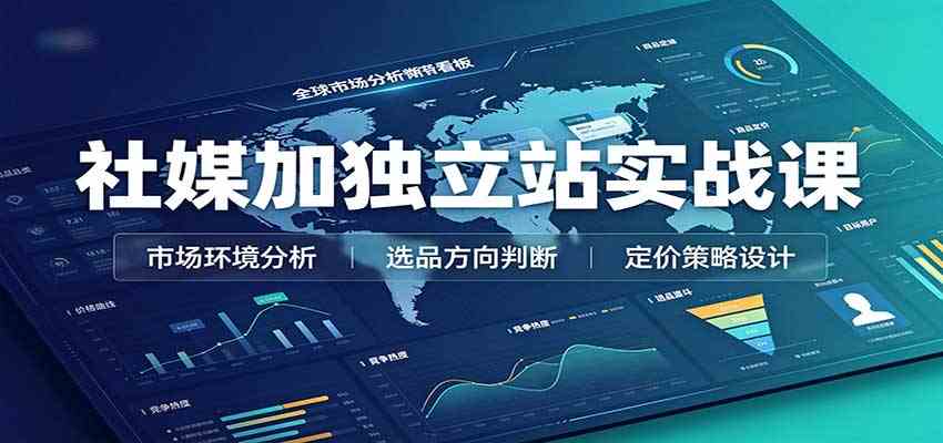 社媒加独立站实战课：市场环境选品定价，社媒运营建站，私域网红营销教学