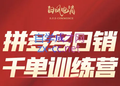 白凤电商·拼多多日销千单训练营(更新9月) 白凤电商·拼多多日销千单训练营(更新9月)