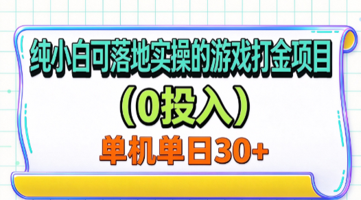 纯小白可落地实操的游戏打金项目(0投入)单机单号30+ 纯小白可落地实操的游戏打金项目(0投入)单机单号30+