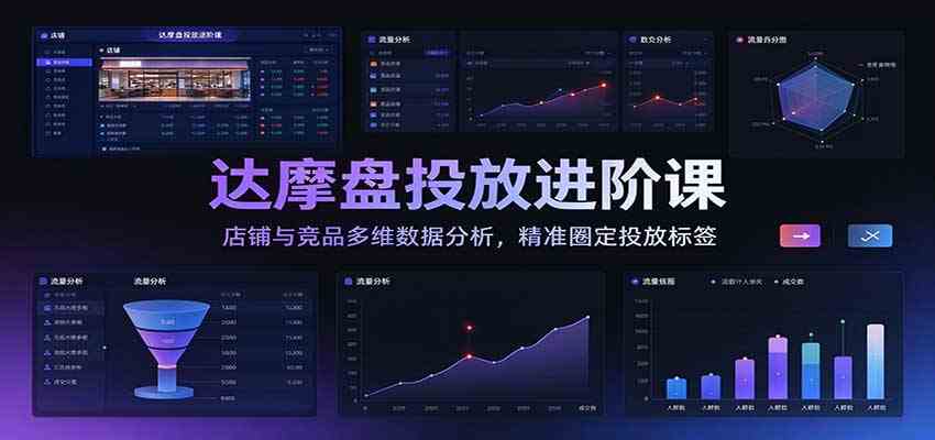 达摩盘投放进阶课:店铺与竞品多维数据分析,精准圈定投放标签 达摩盘投放进阶课:店铺与竞品多维数据分析,精准圈定投放标签